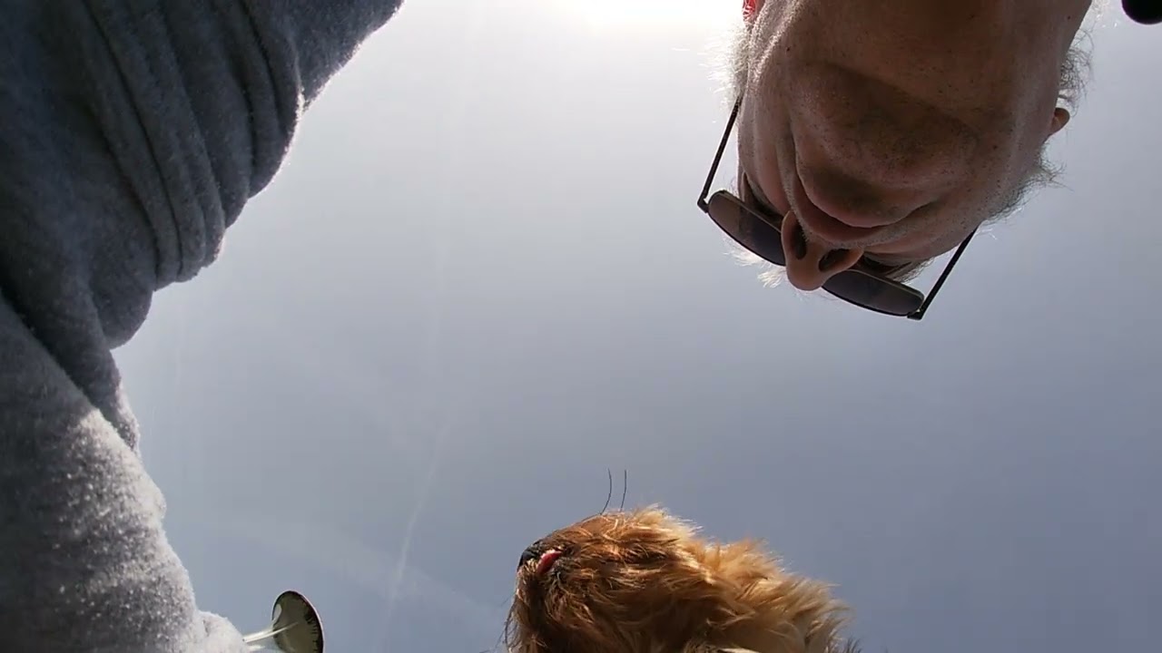 Babou balade 20260307-101500