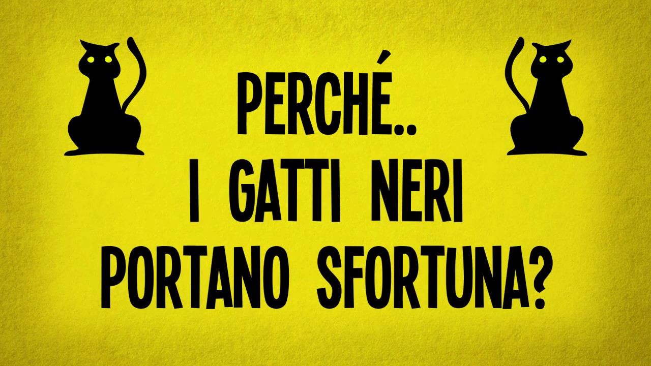 Perché i gatti neri portano sfortuna?