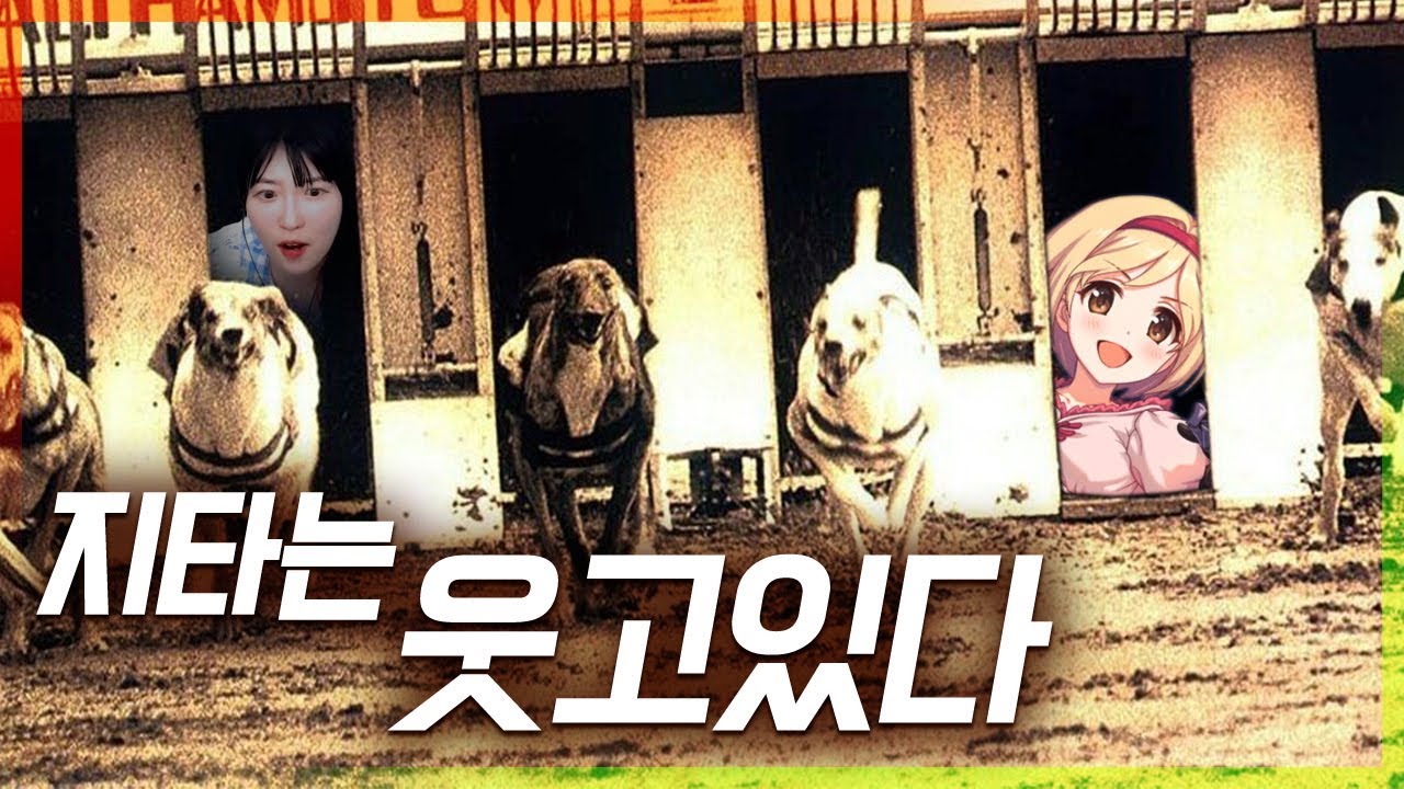 지ㅡ타