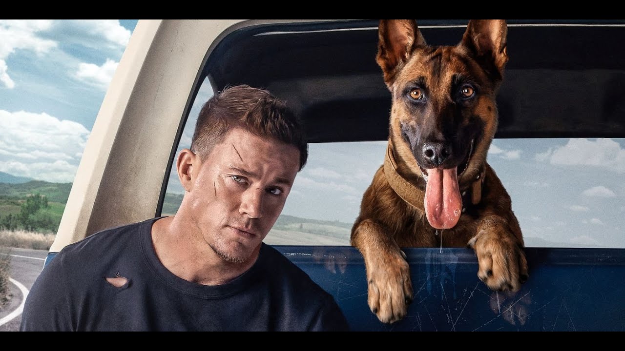 PES | napovednik | V KINU OD 24. FEBRUARJA