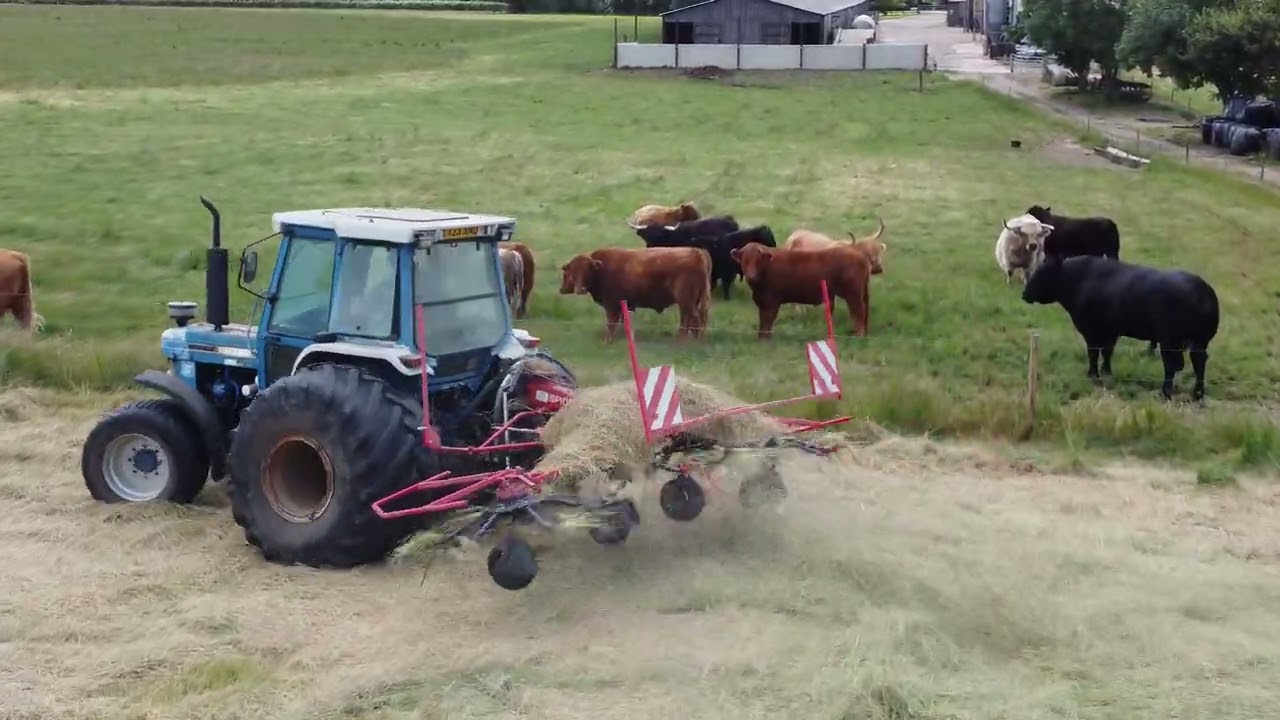 HAY 2024