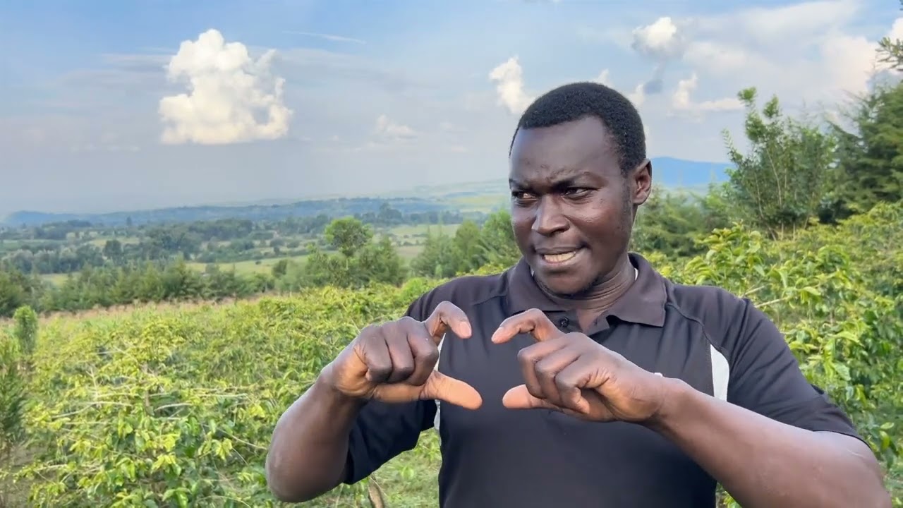 More Baringo youth make money in Coffee