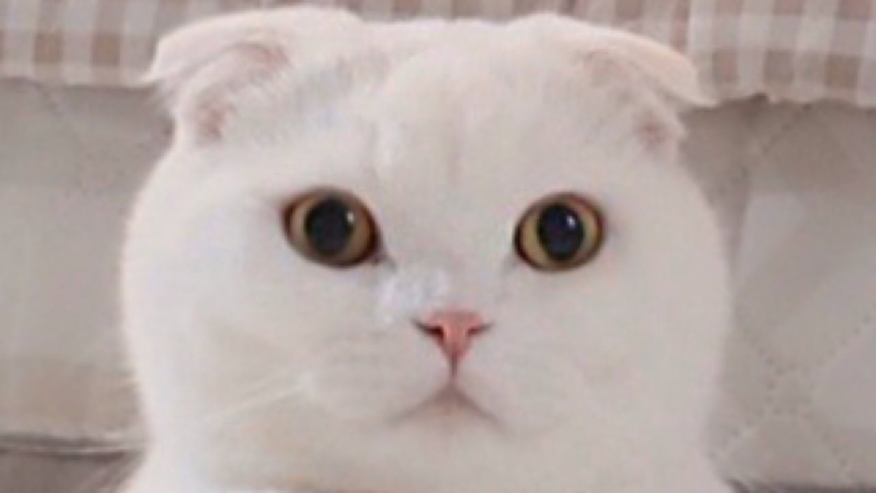 어이 자네, 나 보면서 힐링 좀 하겠는가?