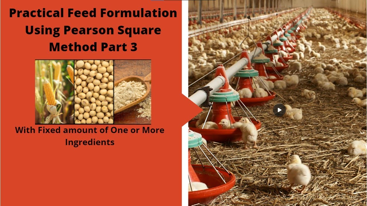 Practical Feed Formulation Using Pearson Square Method Part 3