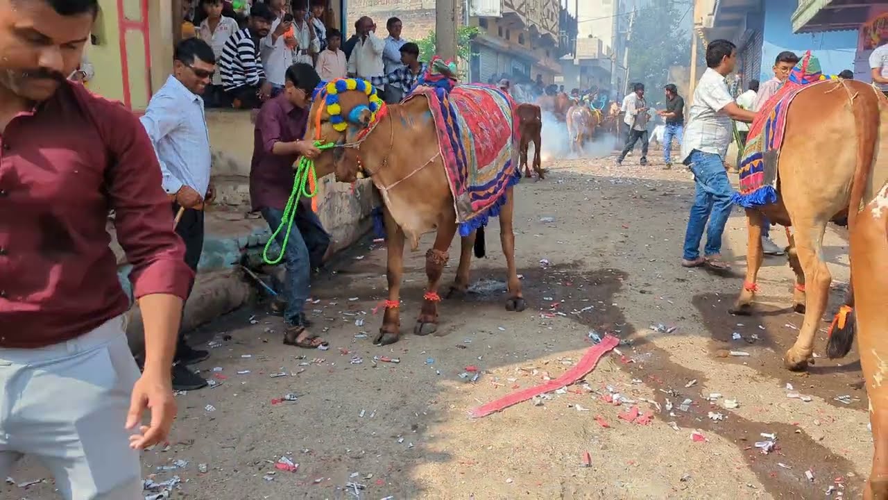 गांव की दीपावाली 💣