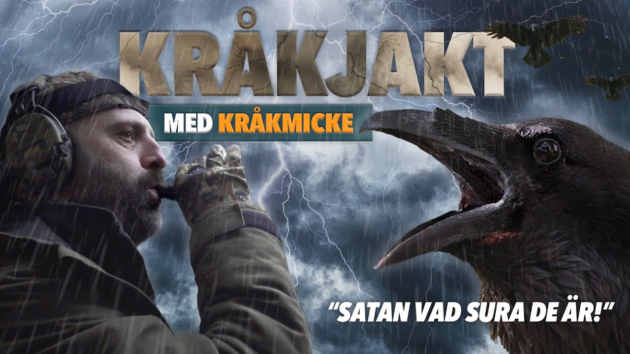 Kråkjakt med Kråk-Micke - Jakt på svartfågel med uvbulvan