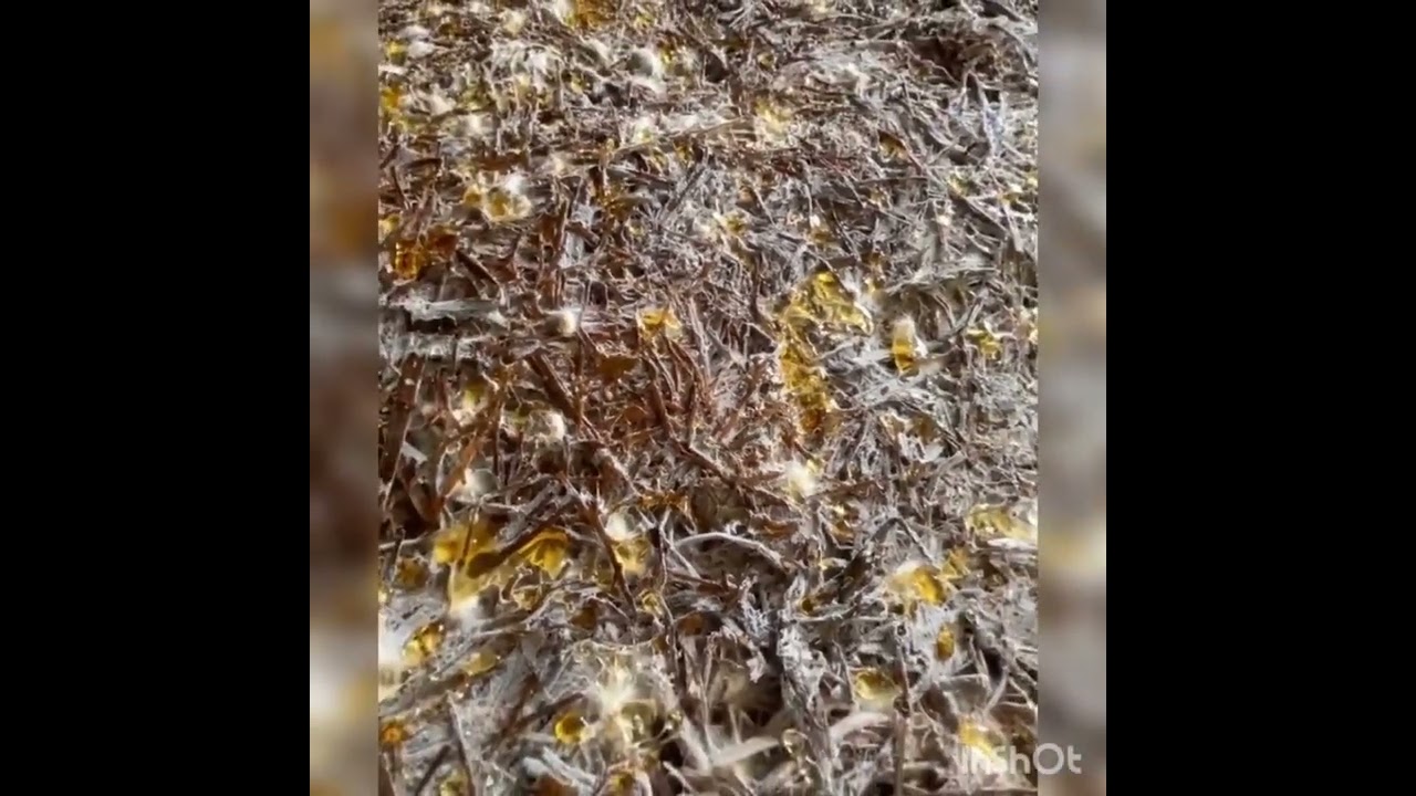 خاکدهی و نکات طلایی آن