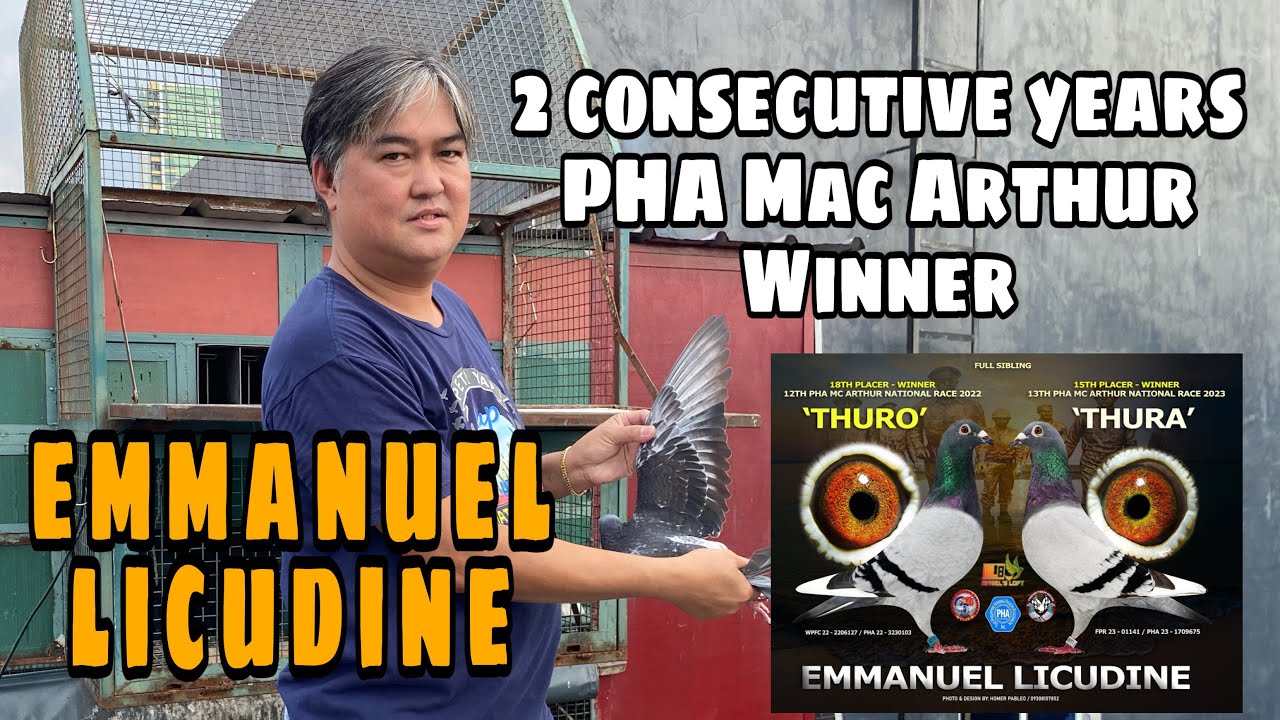 2 MAGKASUNOD NA TAON MAC ARTHUR WINNER  |Reggie Cruz Loft & Aviary |Reggie Cruz Loft & Aviary