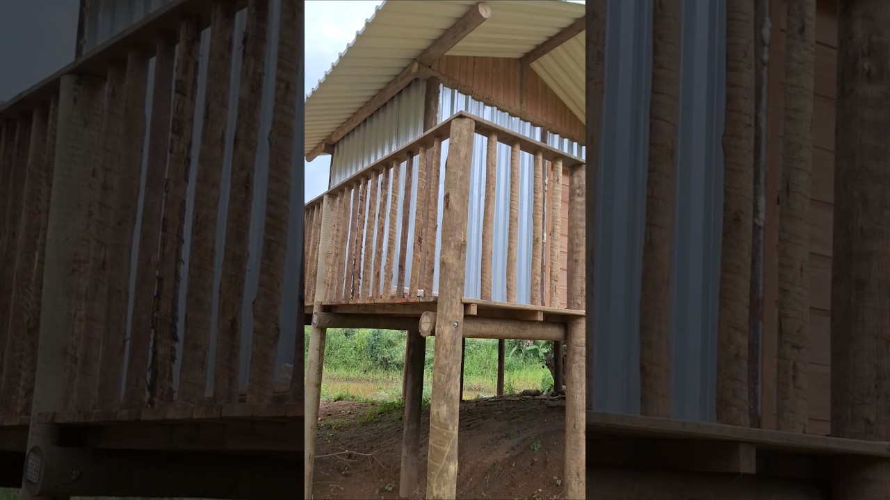 Trabalho em madeira eucalipto tratado deck suspenso com casa #carpintaria #constru&ccedil;&atilde;o #telhado