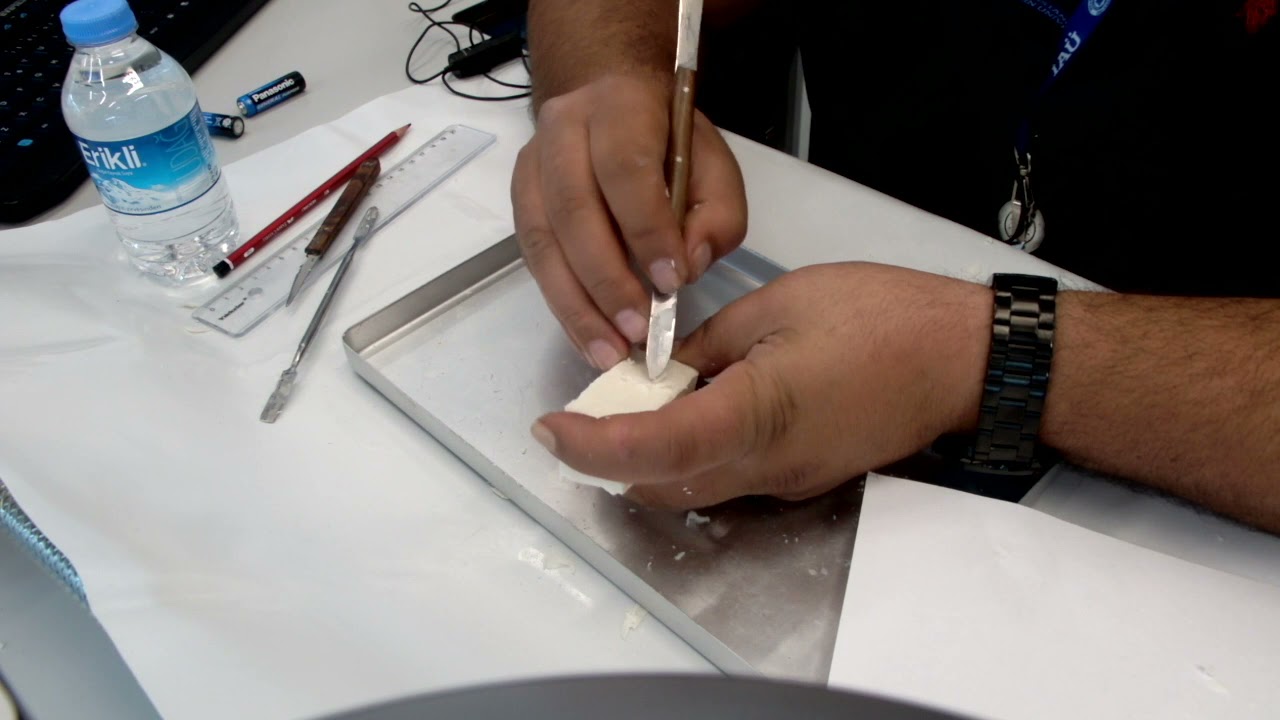 Maxillary Central Incisor Soap Carving