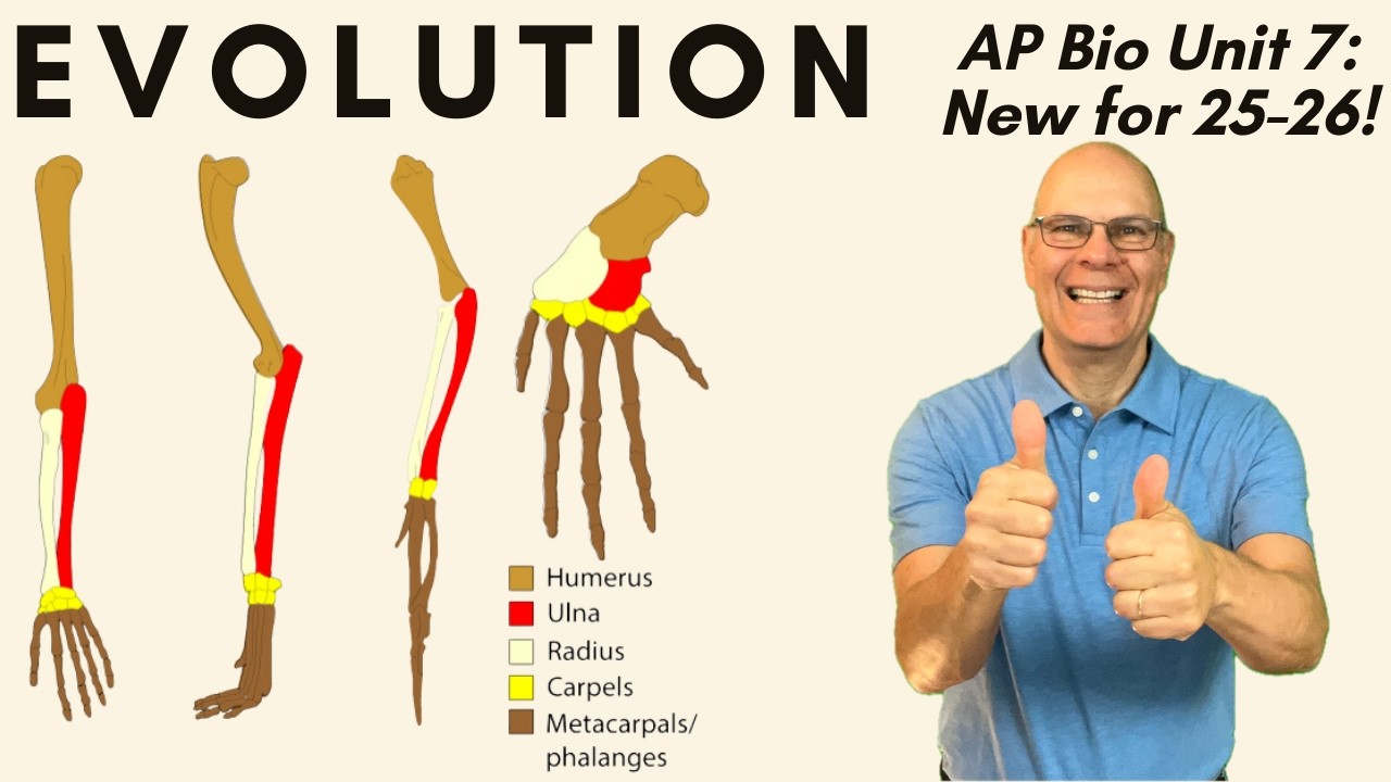 AP Bio Evolution Mega-Review (2025–26): From Natural Selection to Speciation to Phylogeny