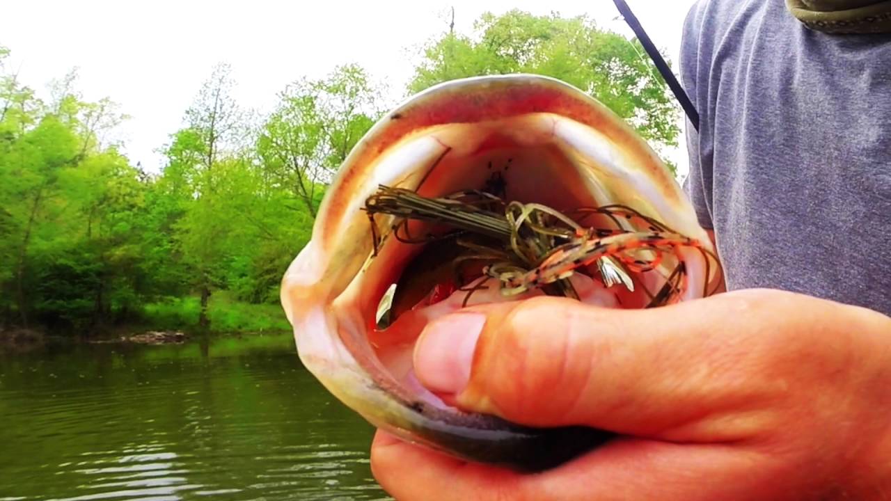 Divine Swimjig 6th sense lures