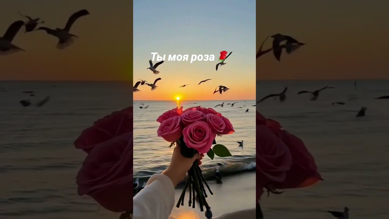 🌹ты моя роза #музыка #любовь #любимпеть #музыкальность #music #музыкаонлайн #люблю