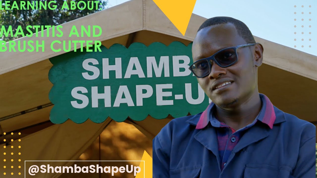 Shamba Shape Up Season 15 – Episode 15: Mastitis, Brush cutter and Shamba ni Biz Drama (Swahili)