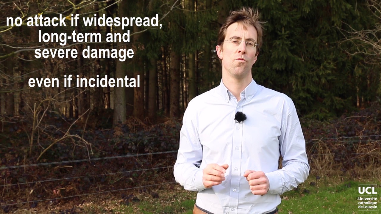 Protection of the environment under API