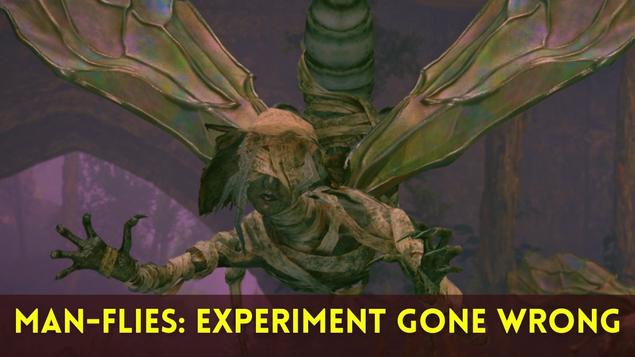 Elden Ring Lore | Diseases in Elden Ring: Man Flies Story