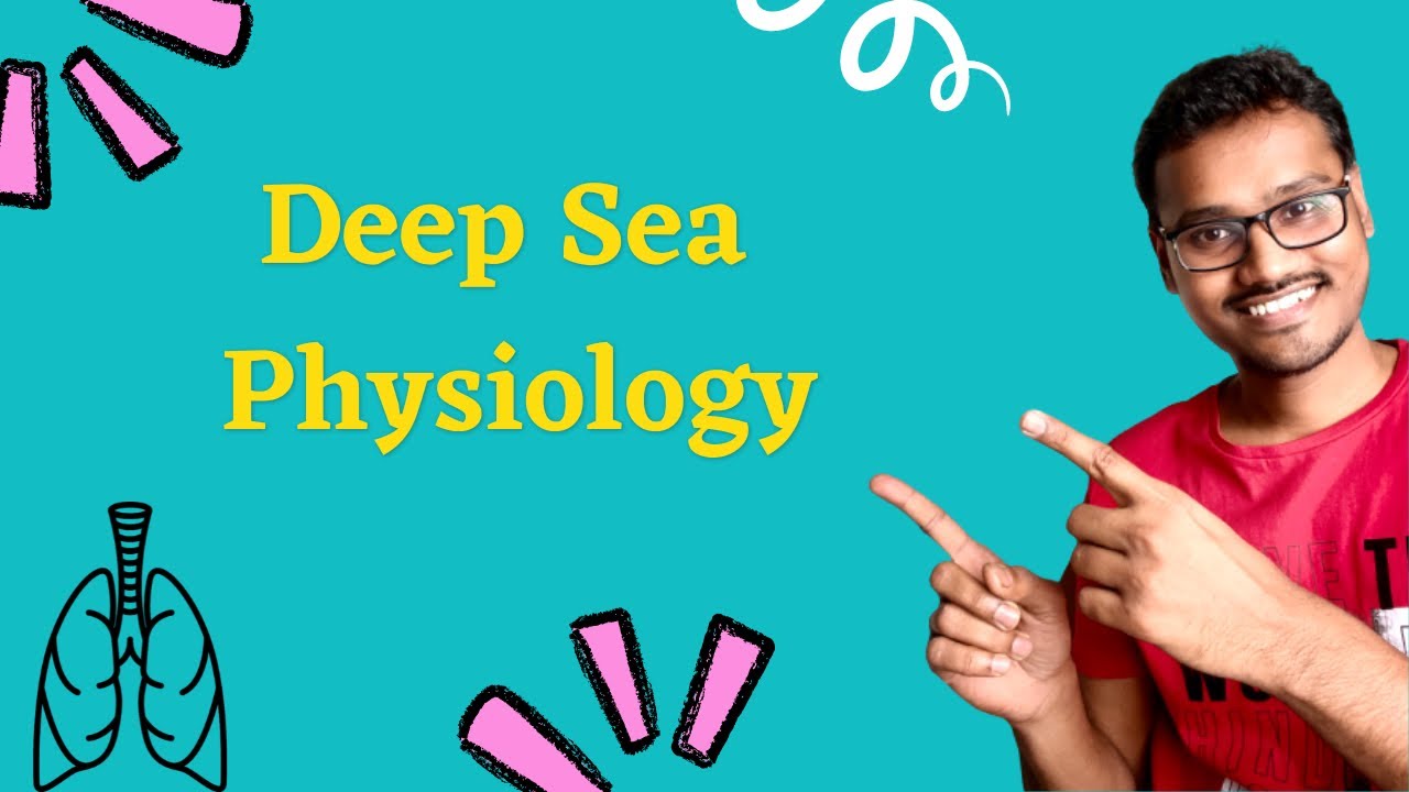 Физиология глубоководных районов – гипербария и дисбария (декомпрессионная болезнь)