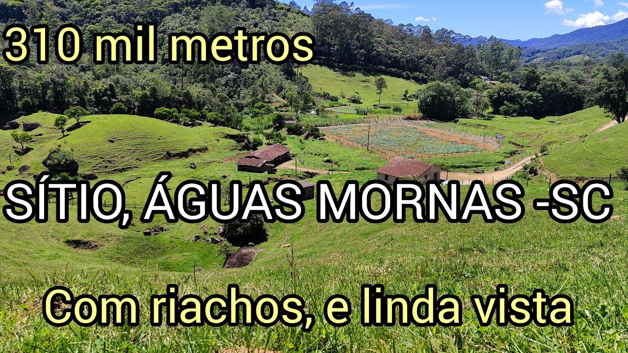 Sítio 31 hectares 6 nascentes, riachos, pomar e linda vista,  para investimentos - ÁGUAS MORNAS-SC