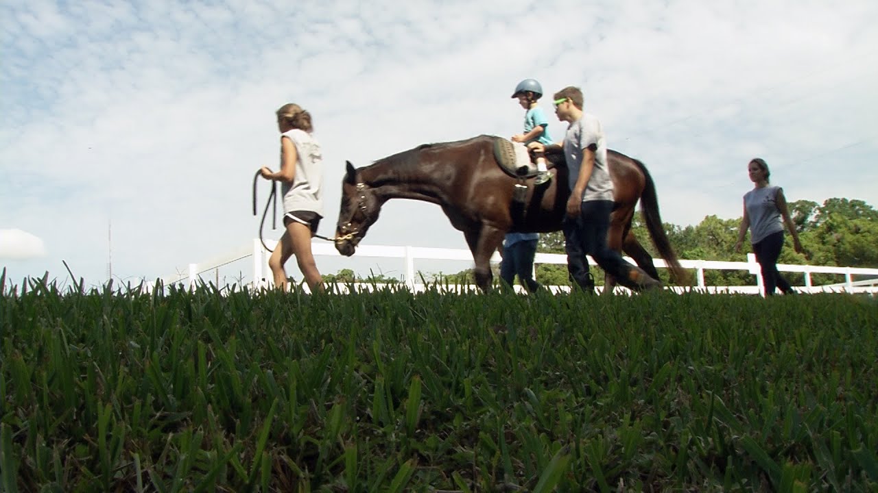 ONE Central Florida Short: Horseback Therapy