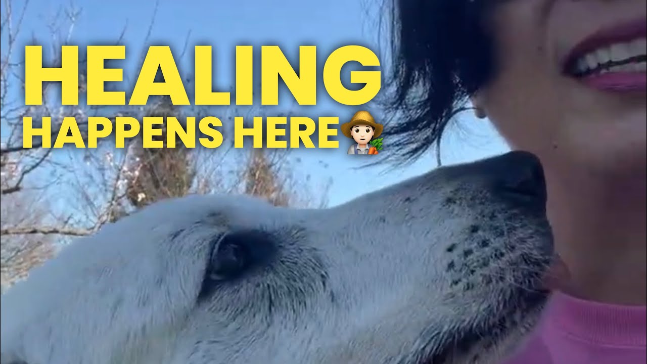 Why I Started This Channel (Part 2) 🧑🏻‍🌾 | Driven to Heal • Ranch Life with Dr B LIVE 🏎️