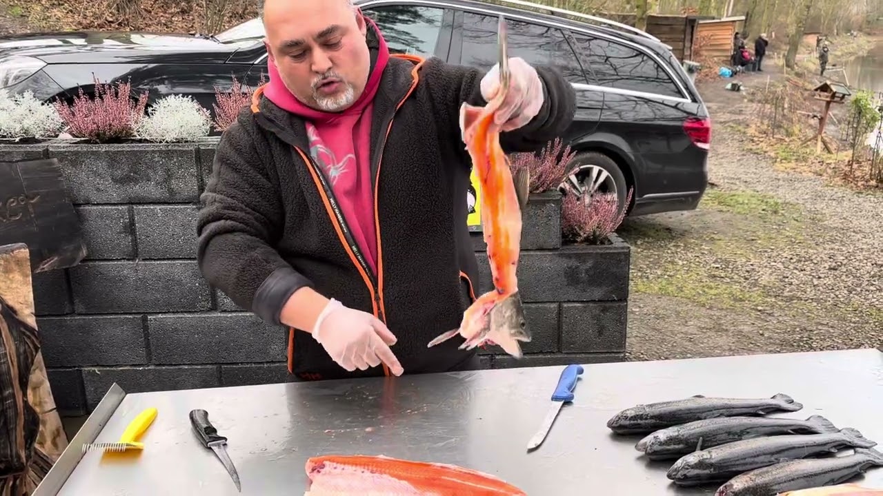 Saibling Filetieren super leicht!