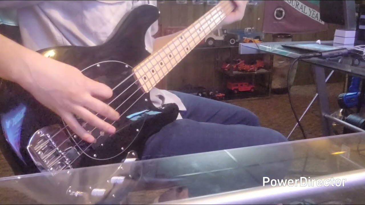 Stinkfist [TOOL] bass cover 