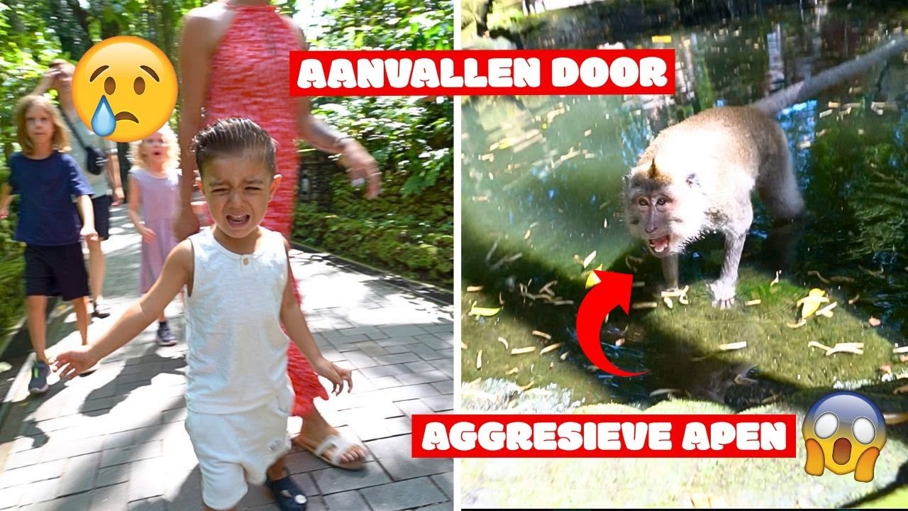 KIDS ZIJN TE BANG OP DEZE PLEK *GEVAARLIJK* 😱| #812