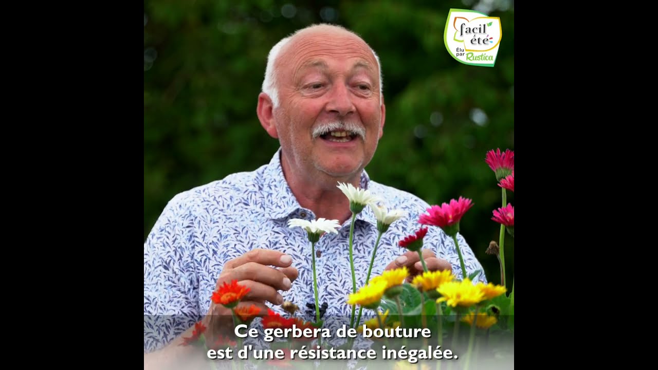 [7 MOIS DE JARDINAGE AVEC HUBERT] Découvrez les gerberas Garvinea® Sweet de la gamme Facil'été®
