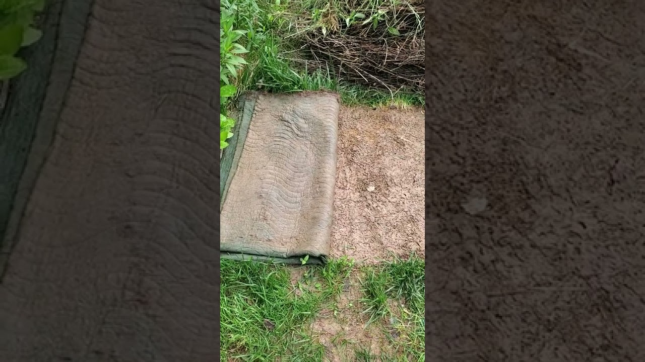 Как уничтожить газонную траву в саду без химикатов и перекопки.