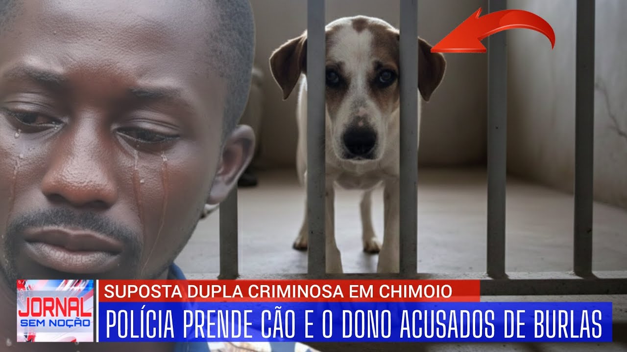 POLÍCIA PRENDE CÃO E O DONO ACUSADOS DE BURLAS EM CHIMOIO