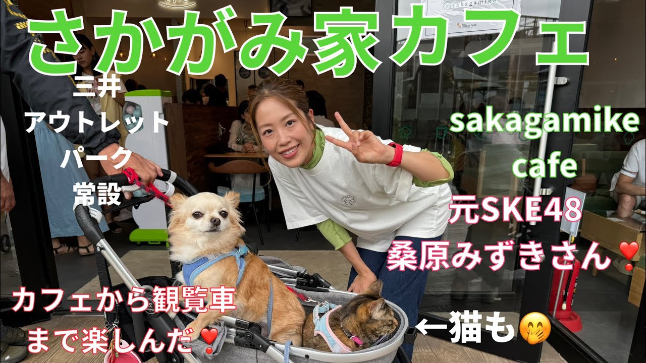 さかがみ家カフェに行ってきた❣️観覧車にも乗ってみた❣️猫の対応力に注目☝️三井アウトレットパーク😄#ペット #冒険#旅行