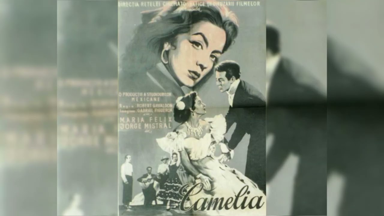 CAS Morelia cultura arte y sociedad cine en libea pelicula Camelia 