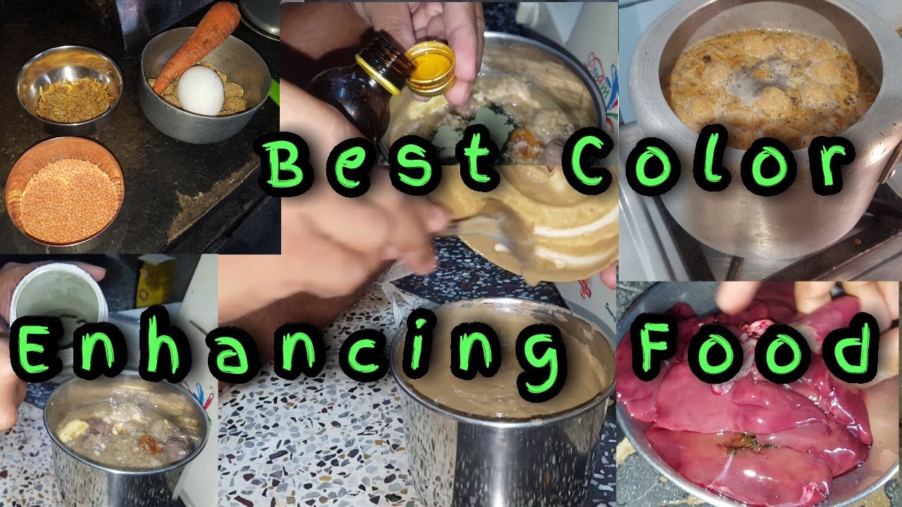 Best Home Made Fish Food | #withme