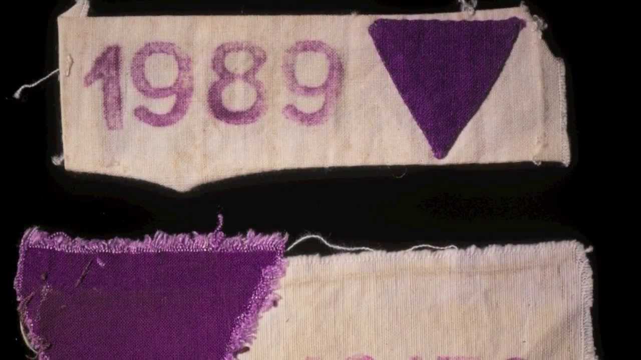 The Nazi Persecution of Jehovah's Witnesses: The Kusserow Collection (Curators Corner #21)