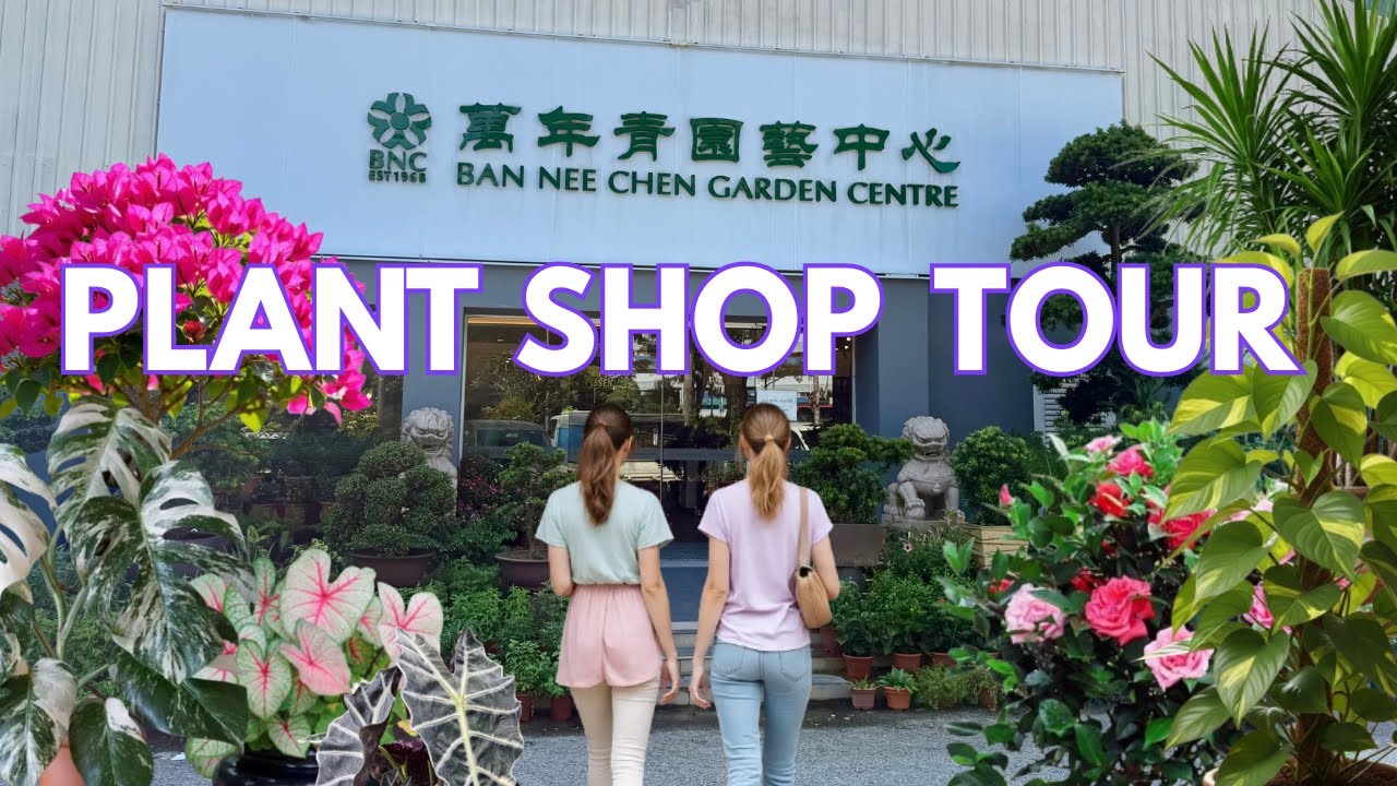 🌴 Plant Garden Shop Tour | Ban Nee Chen Nursery Plant Shop | A Relaxing Tour Of The Garden Shop