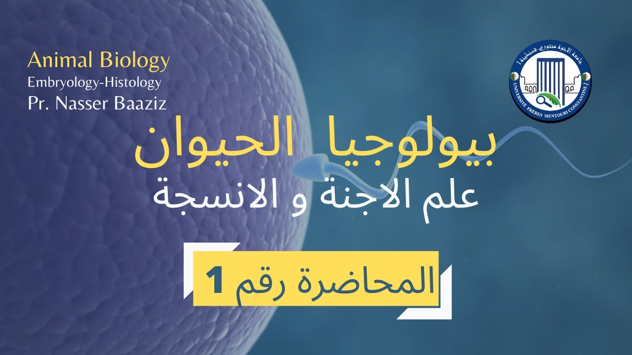 LMD المحاضرة رقم 1 في مادة بيولوجيا الحيوان  سنة اولى جامعي Animal Biology Lecture 1