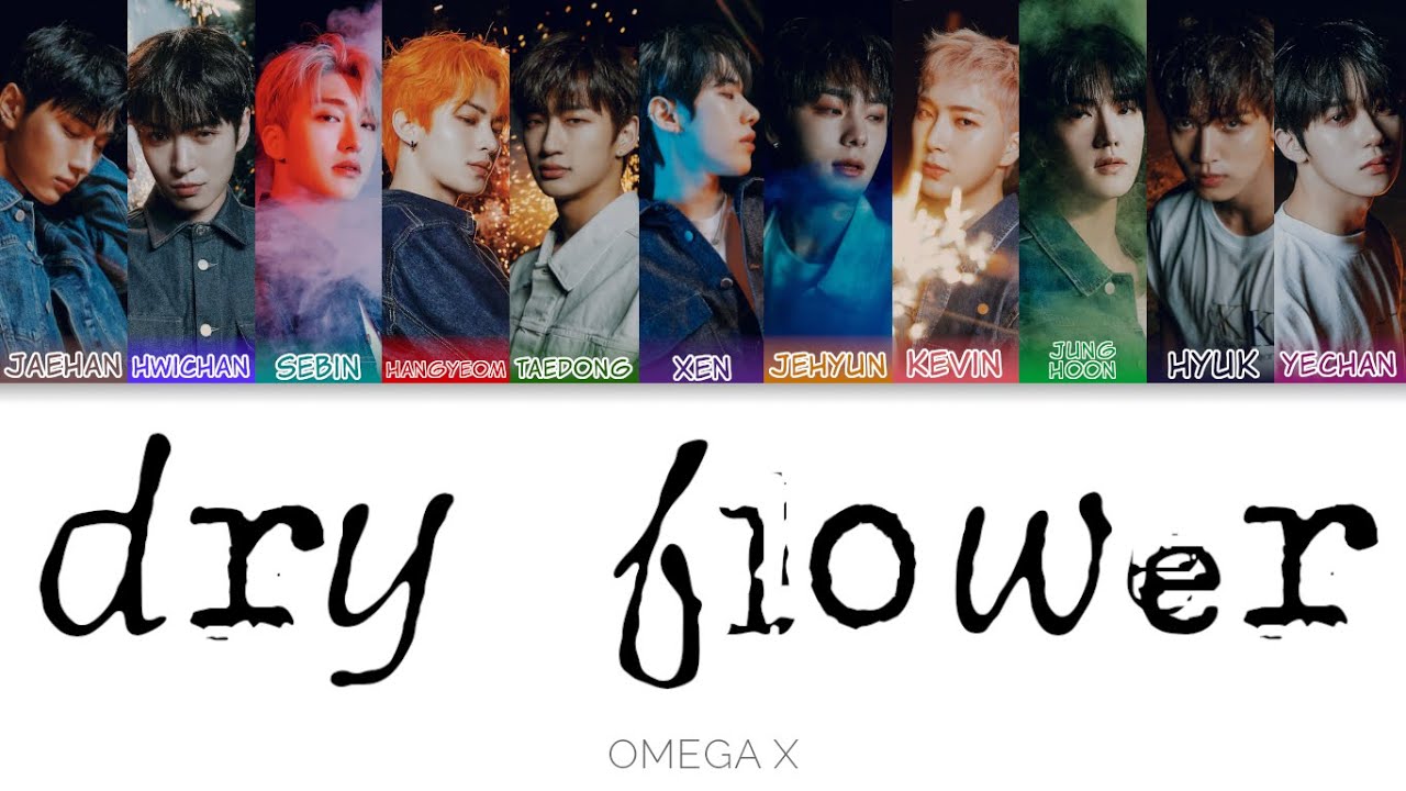OMEGA X(오메가엑스) - DRY FLOWER Color Coded Lyrics (han/rom/eng)