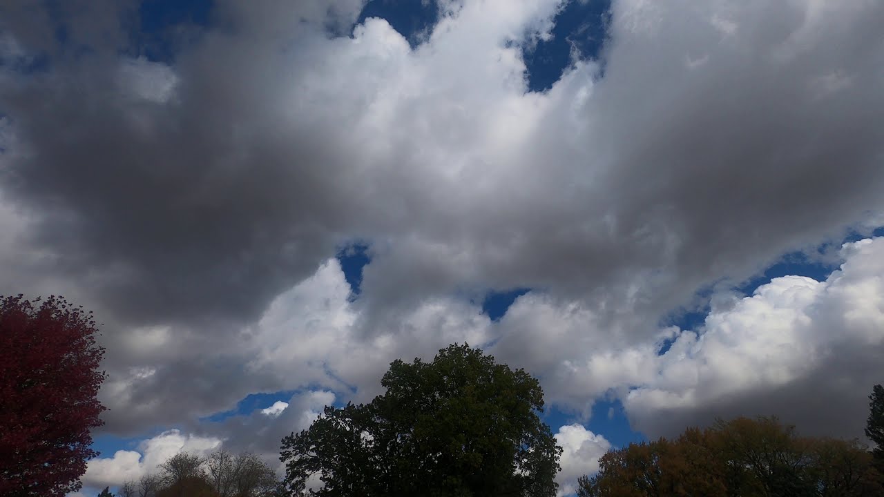 Cumulus and cumulus congestus