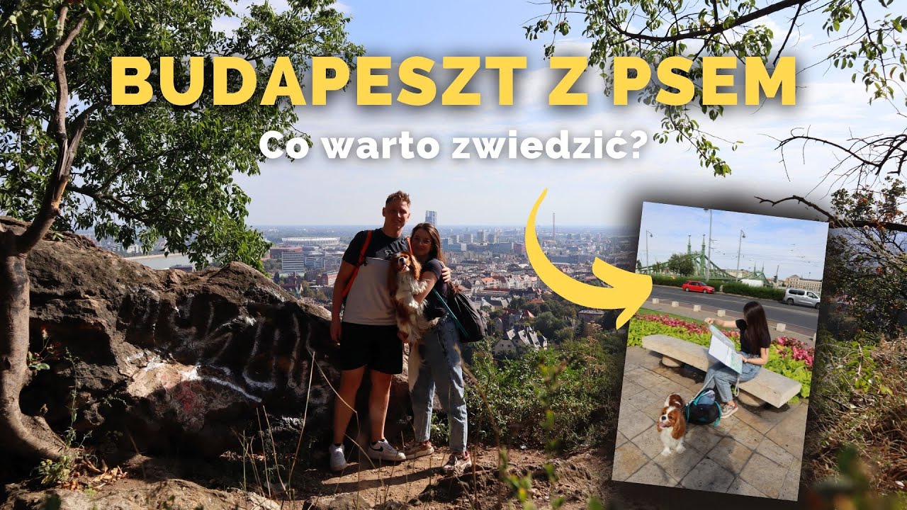 BUDAPESZT Z PSEM 🇭🇺 | SPOTKALIŚMY JOHNNEGO DEPPA? | GDZIE MOŻNA WEJŚĆ Z PSEM? 🐕 | Kapi The Cavalier