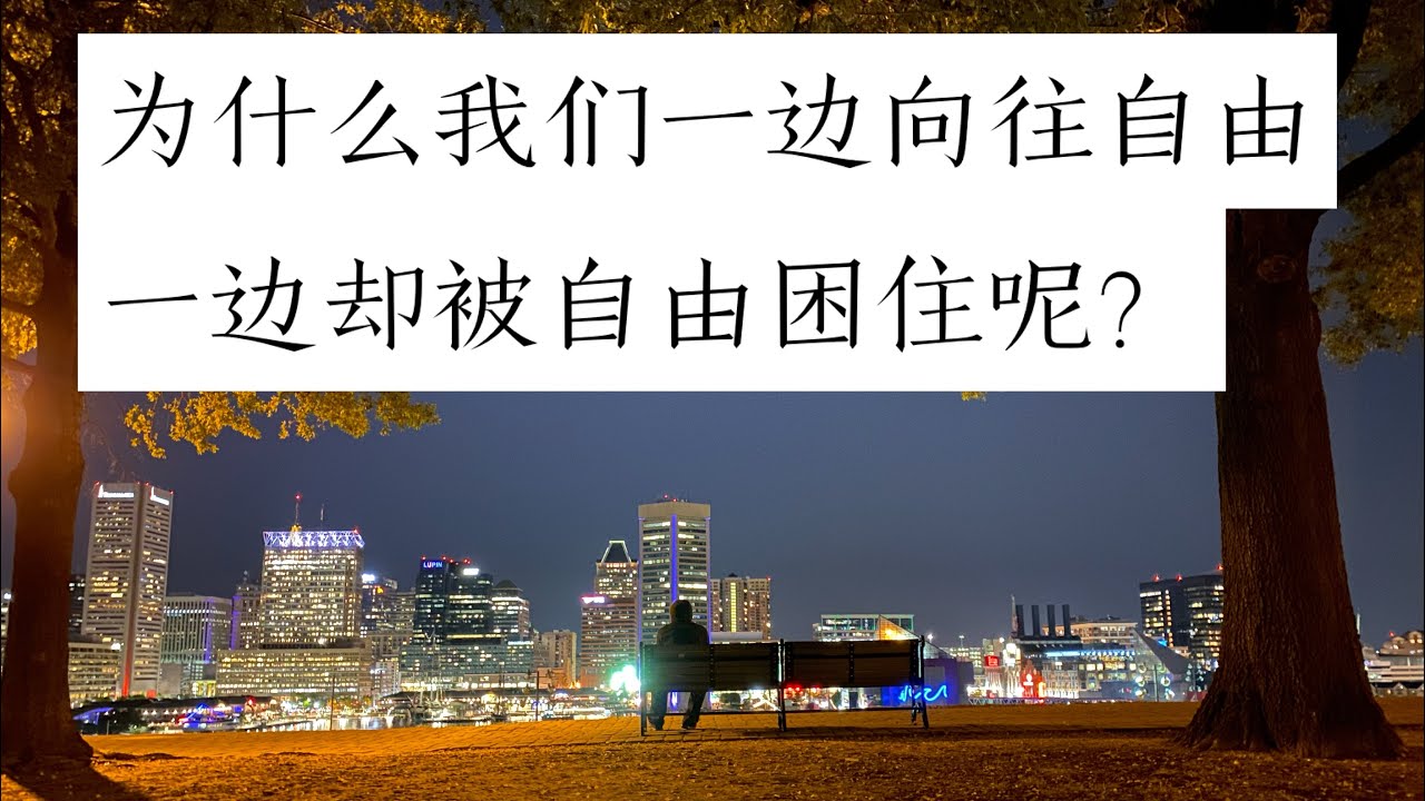 为什么我不喜欢上班，却又害怕自由？｜不敢自由