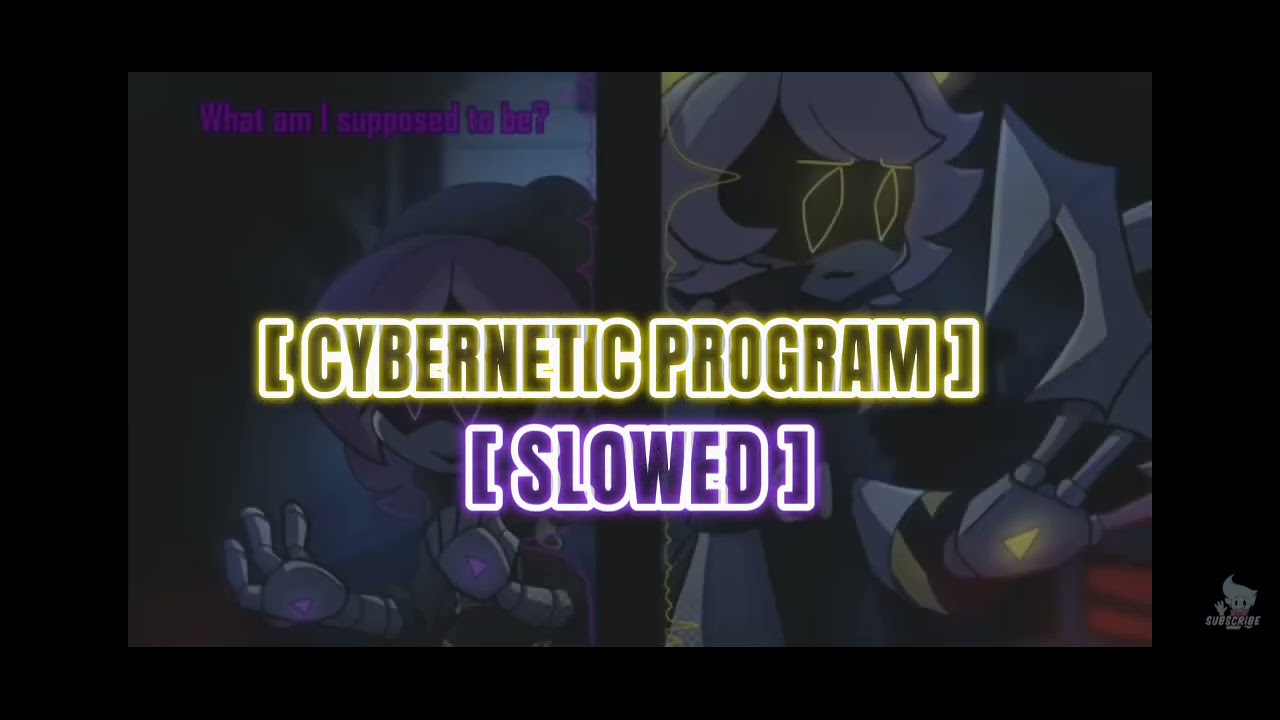 CYBERNETIC PROGRAM | Slowed