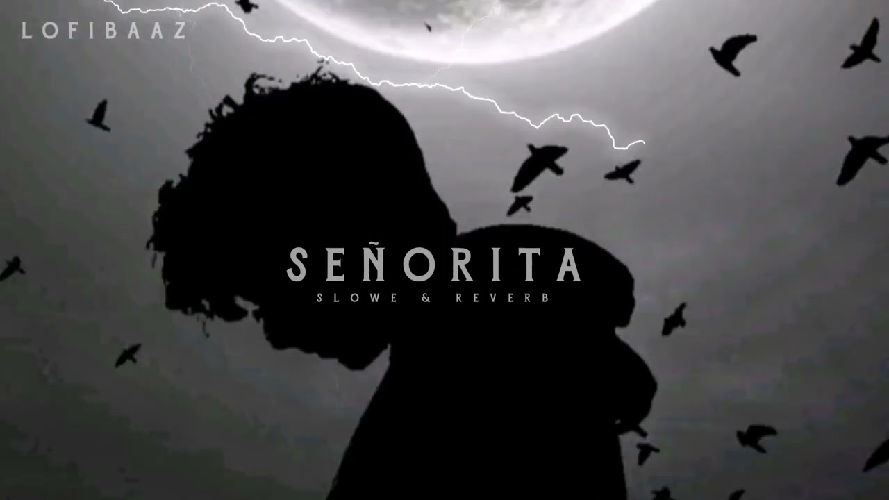 SE&Ntilde;ORITA - SLOWED & REVERB - LOFIBAAZ