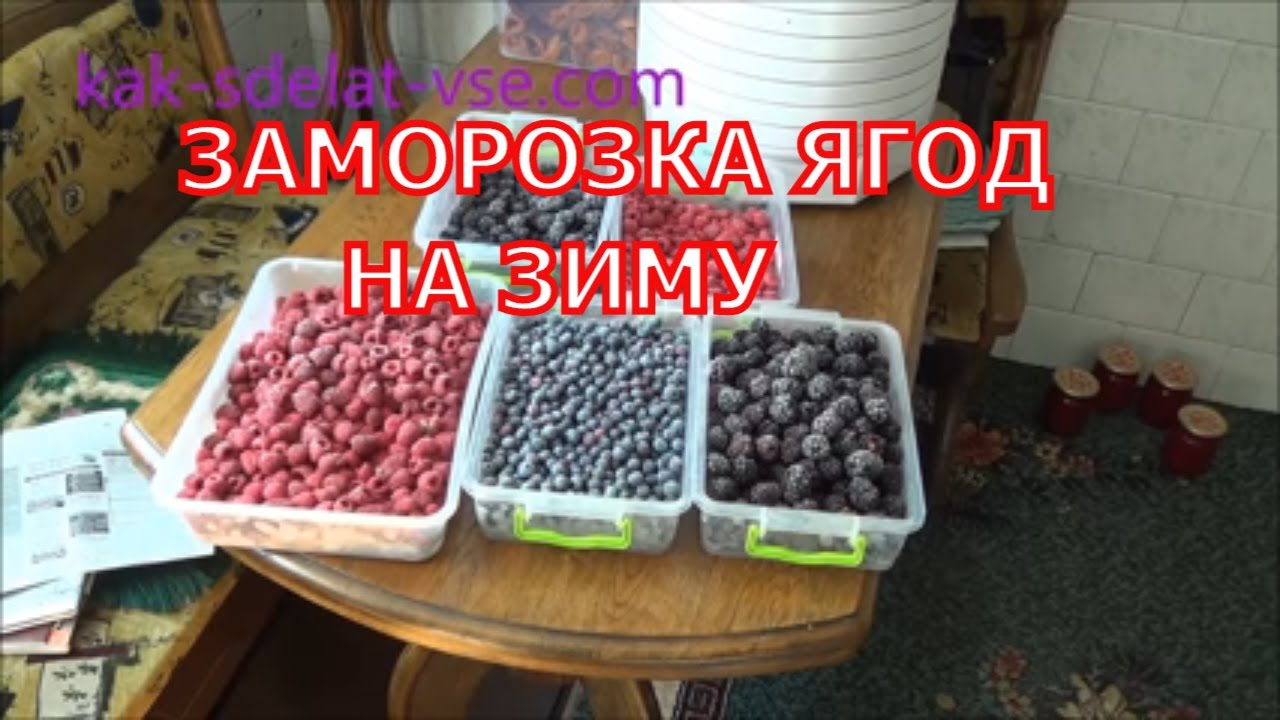 Заморозка ягод – малина, смородина, голубика, ежевика.