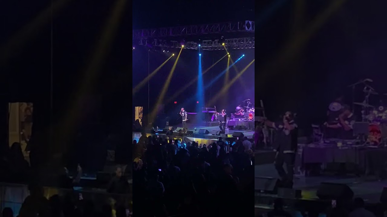 Next - too close live performance 