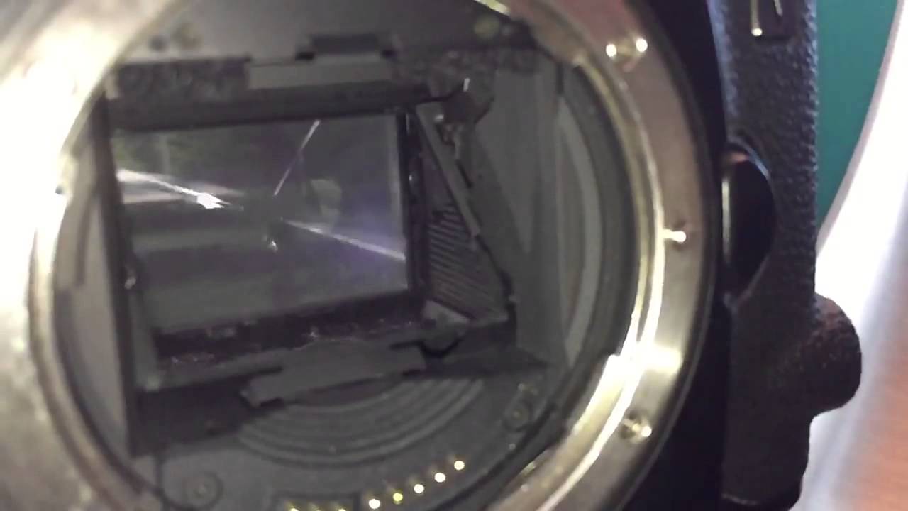 Canon EOS-1v Flagship 35mm Film SLR 10fps shutter in Slowmo