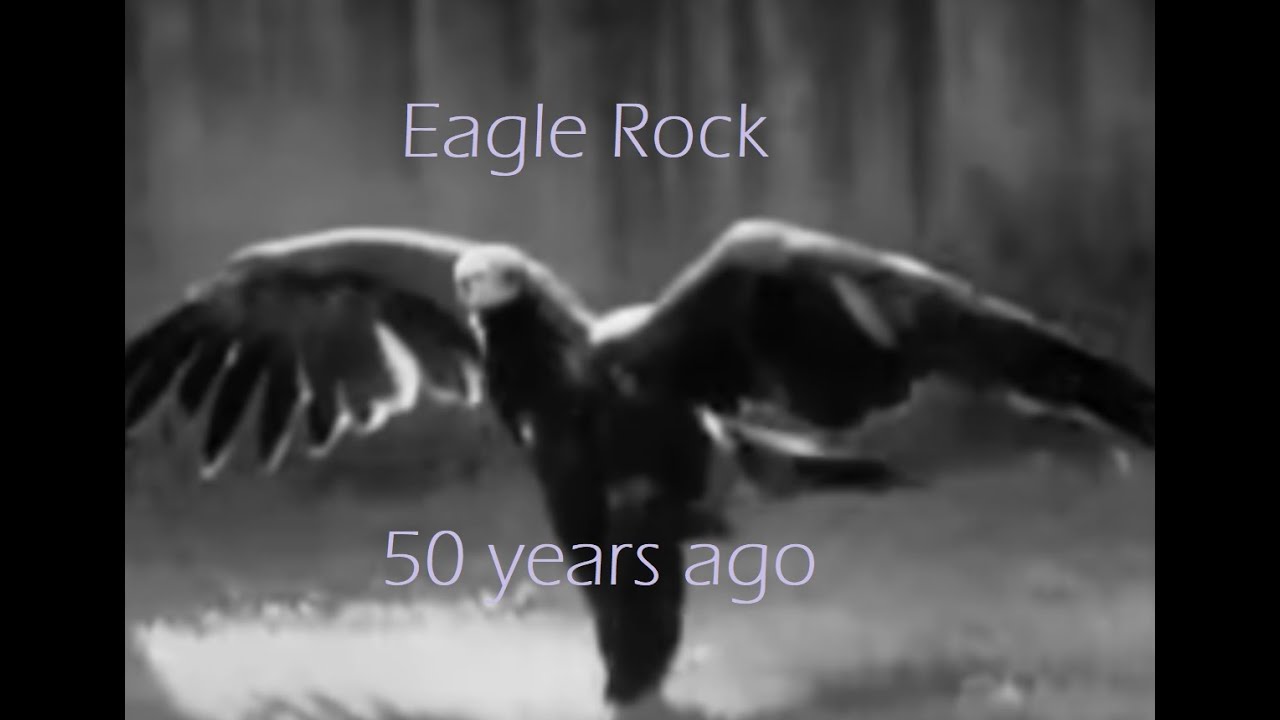 103.  Celebrating the aussie classic Eagle Rock