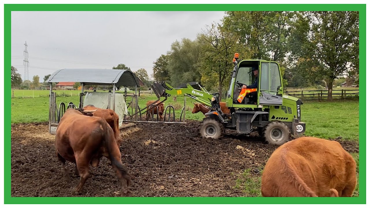 FarmVLOG #469  Kälber gehen / Schafe wandern / Hoflader bekommt neuen Sitz (bald) / Schwer was los !