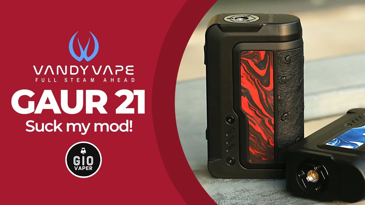 Mod  Gaur 21 - Review Detalhada com @GioVaperTV Vandy Vape + Suck My Mod