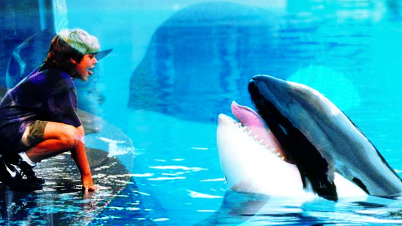 Free Willy - Gift of a Friend