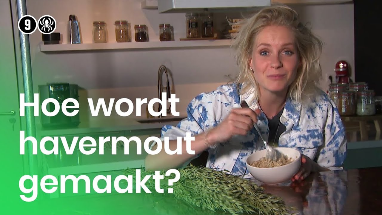 Hoe wordt havermout gemaakt? | Doen Ze Dat Zo?